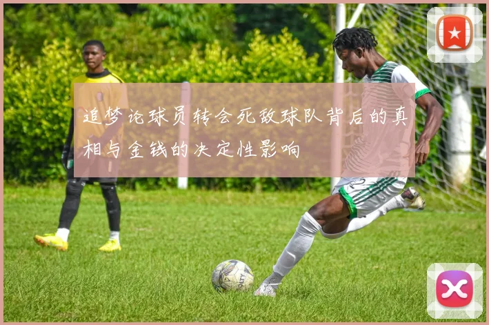 追梦论球员转会死敌球队背后的真相与金钱的决定性影响