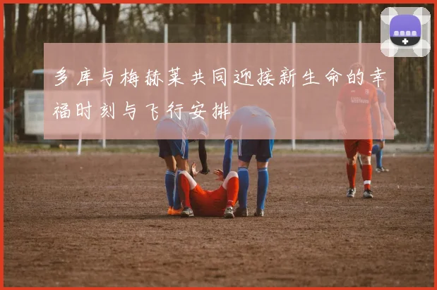 多库与梅赫莱共同迎接新生命的幸福时刻与飞行安排
