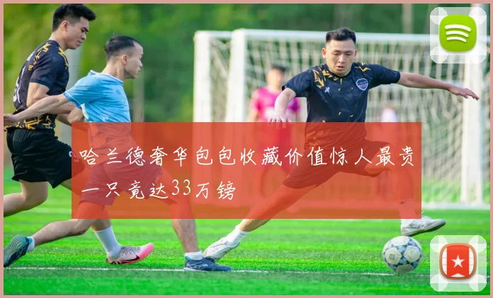 哈兰德奢华包包收藏价值惊人最贵一只竟达33万镑