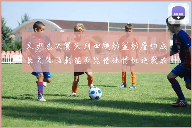 文班总决赛失利回顾幼鲨幼詹的成长之路马刺能否凭借独特性逆袭成功